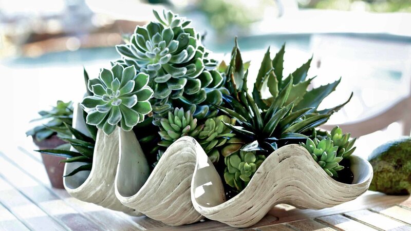 white wedding decoration ideas