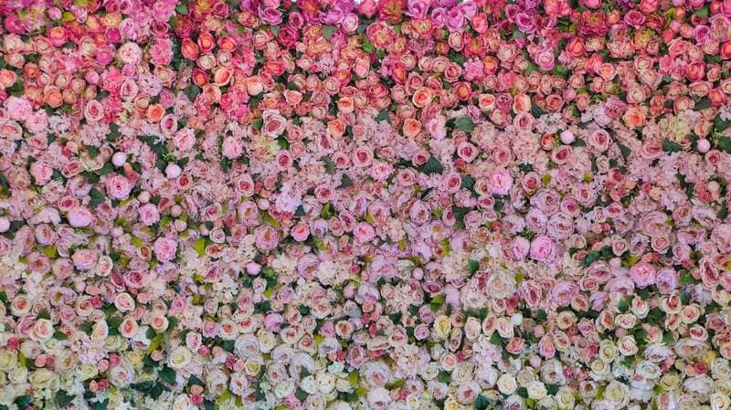 pink wedding decor